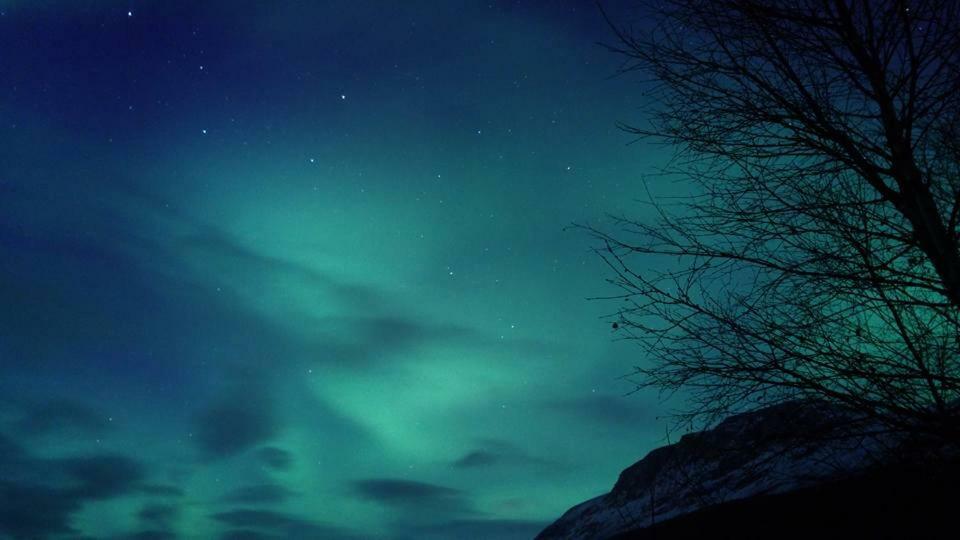 Ballangen Camping ナルヴィク エクステリア 写真