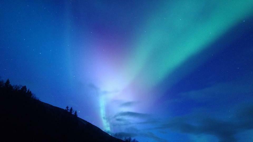Ballangen Camping ナルヴィク エクステリア 写真