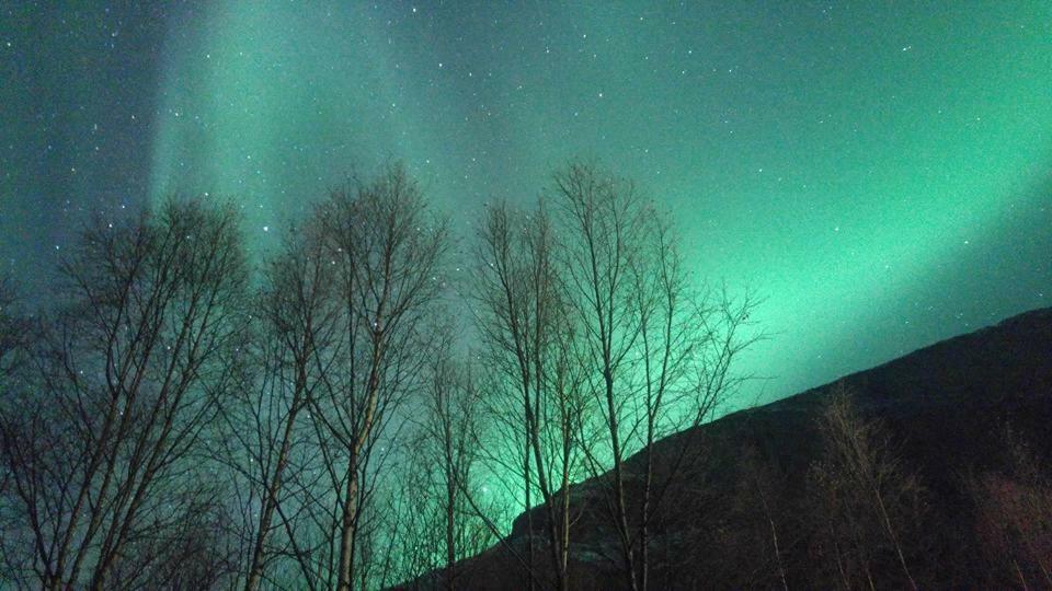 Ballangen Camping ナルヴィク エクステリア 写真
